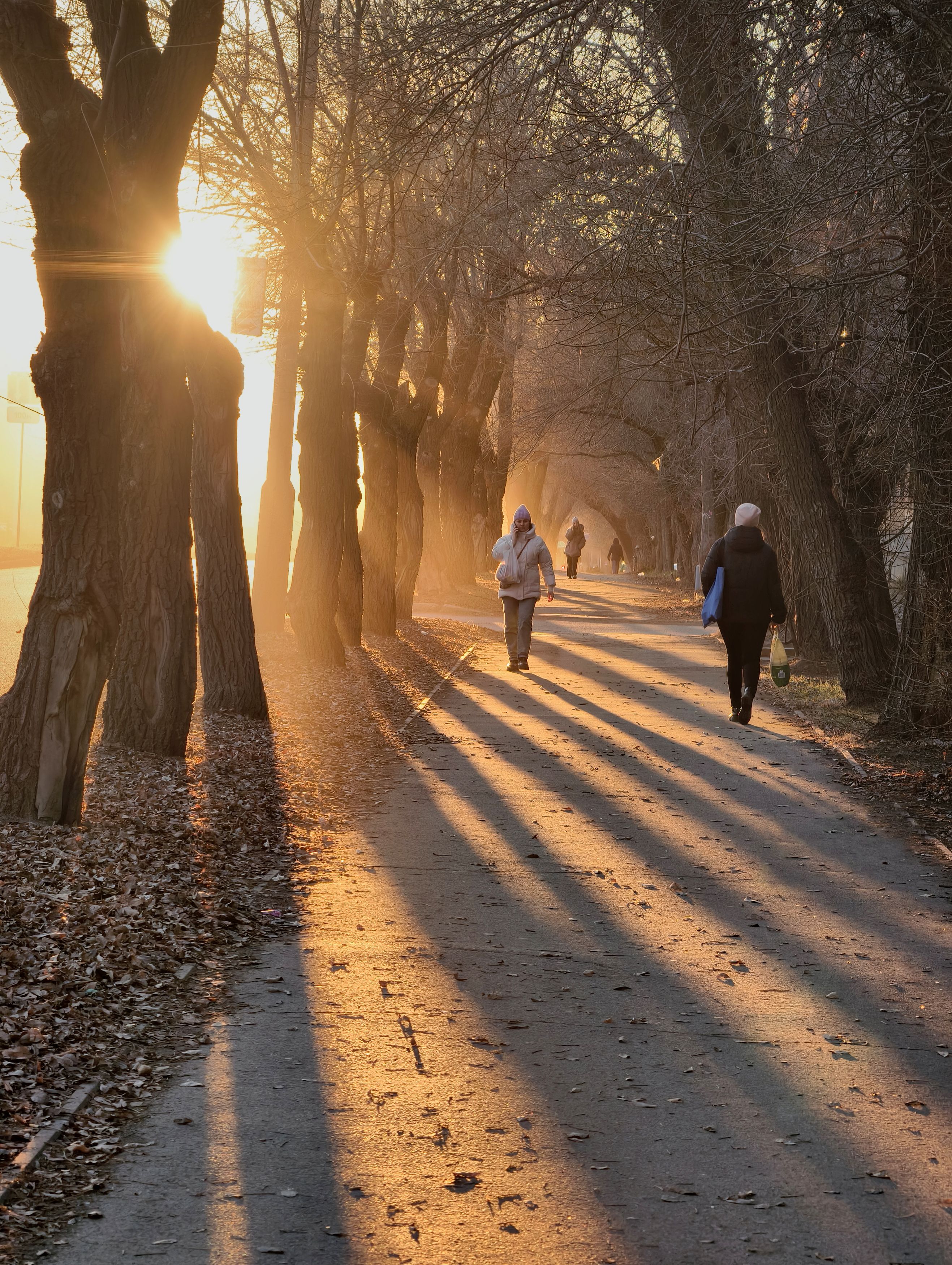 Photograph by Кухта Мария