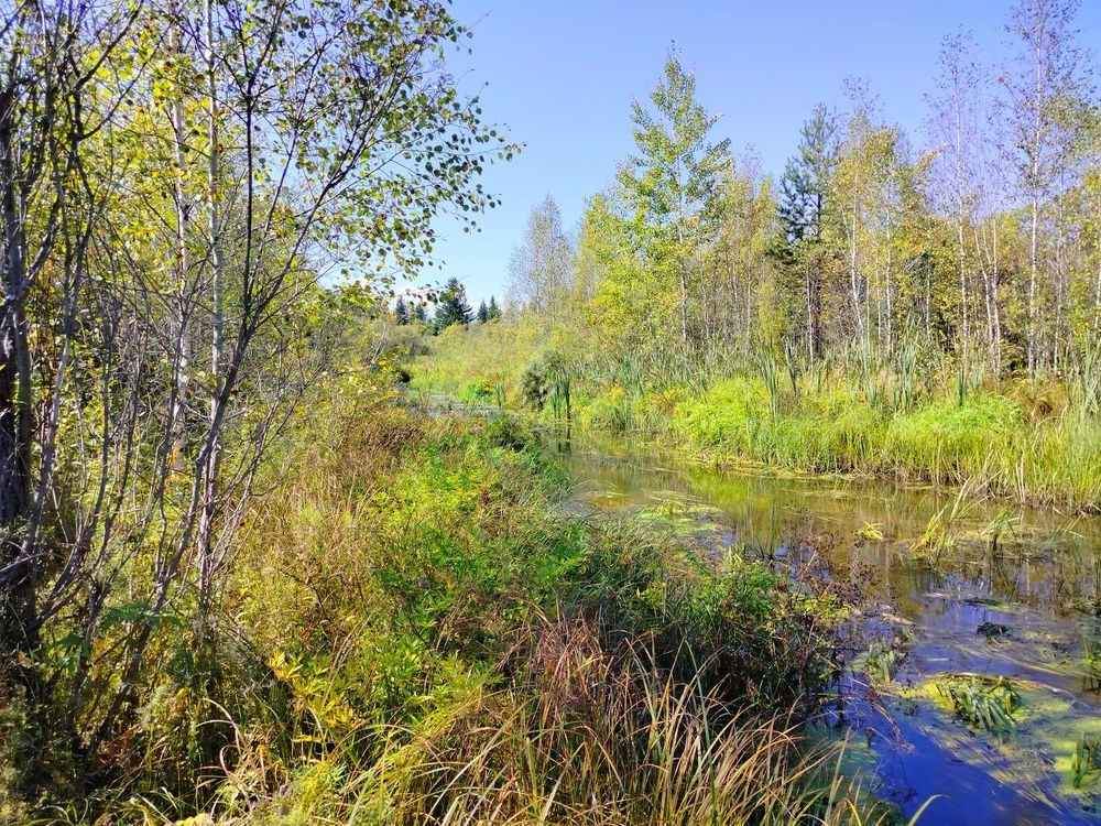 Photograph by Анастасия Горбачева