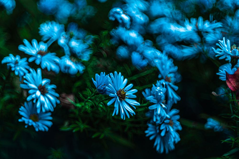 Фотография автора Павел Ващилов