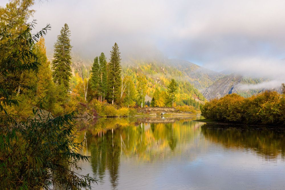 Photograph by Стрекалов дмитрий