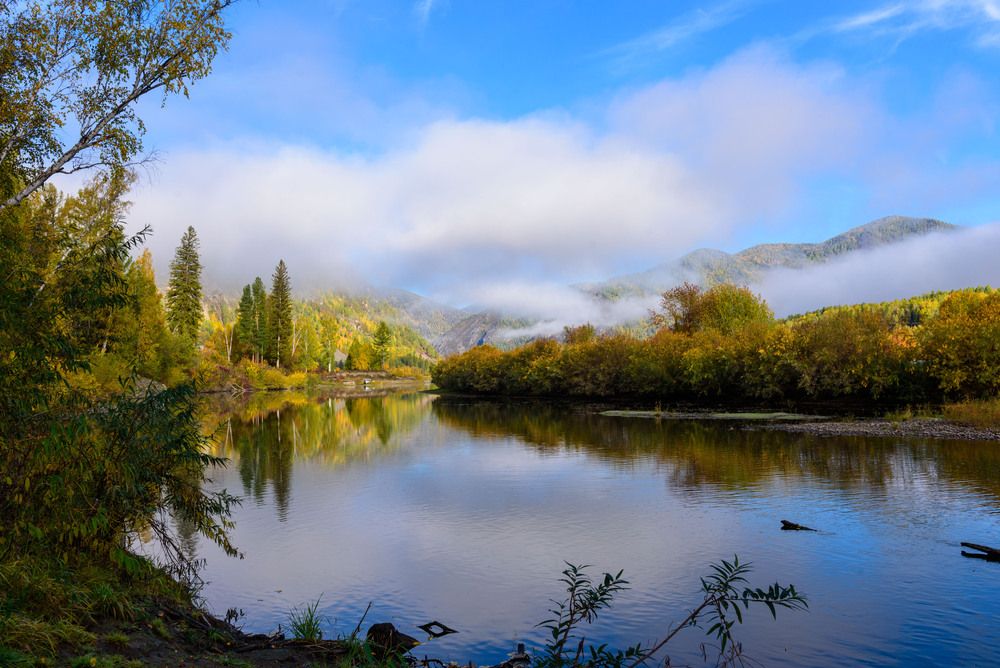 Photograph by Стрекалов дмитрий