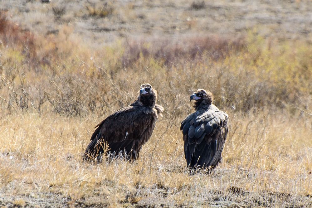 Photograph by Стрекалов дмитрий