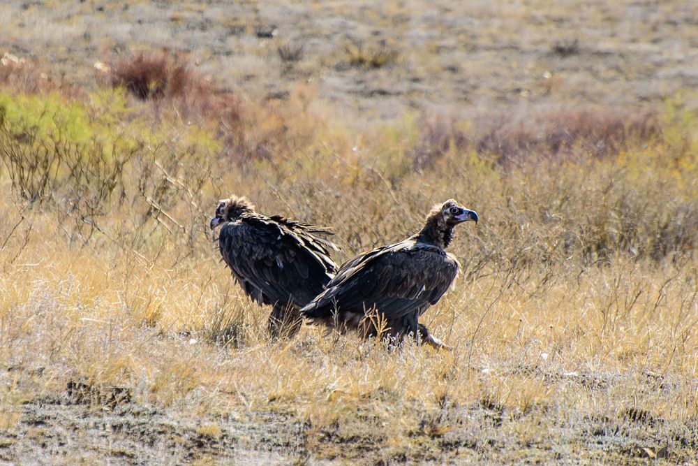 Photograph by Стрекалов дмитрий