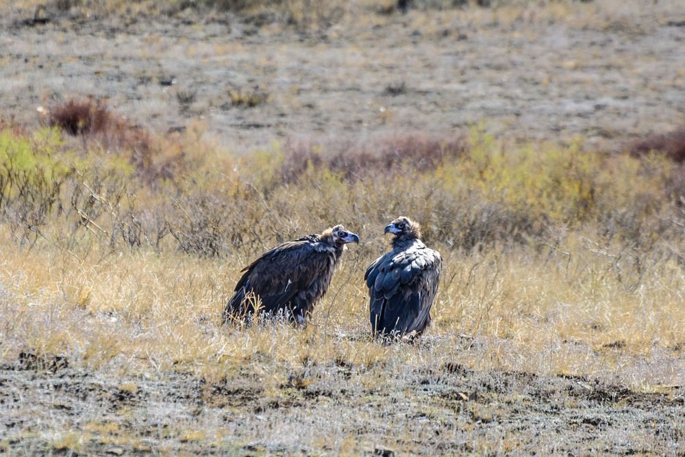 Photograph by Стрекалов дмитрий