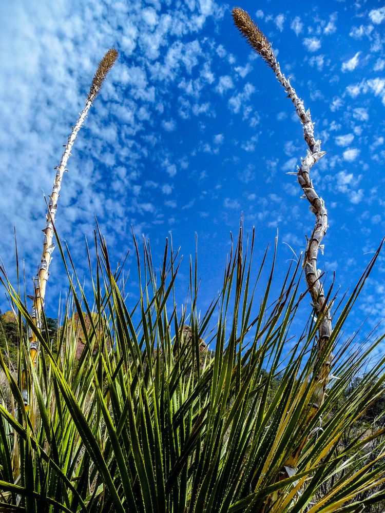 Фотография автора Анатолий Костерев