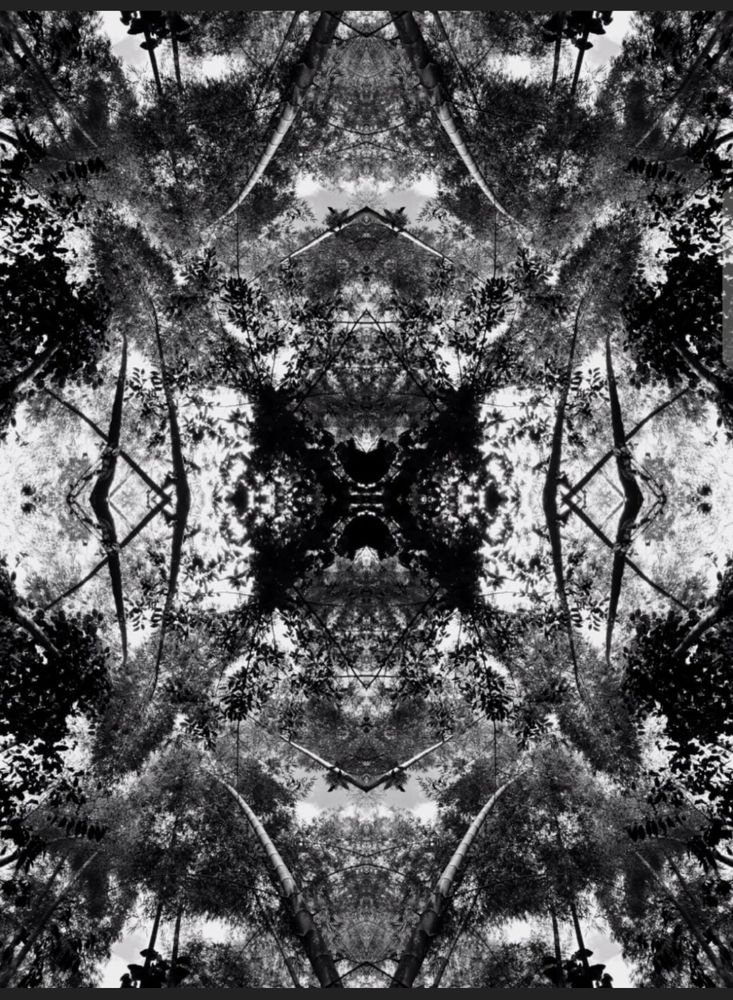 Photograph by María Claudia Salcedo