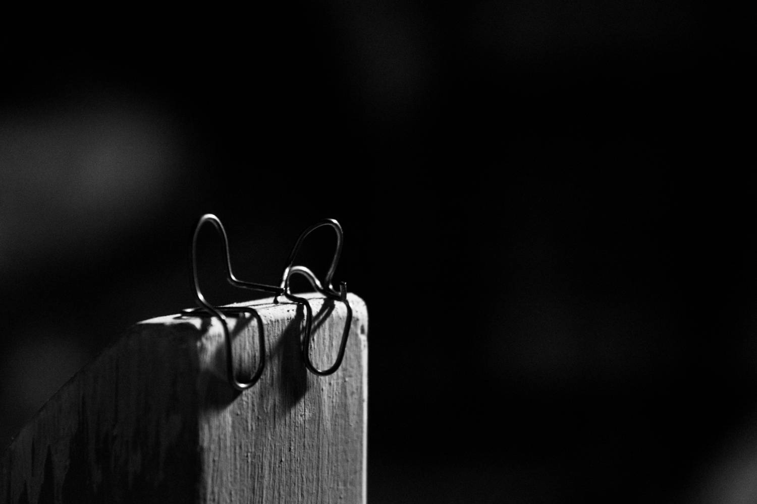 Photo #13180184