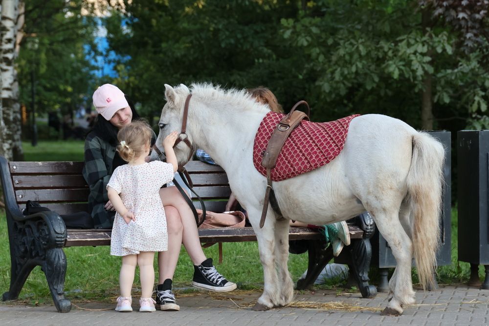 А можно мне погладить?