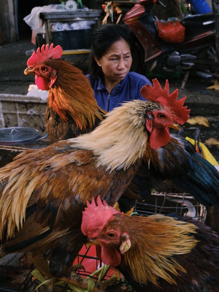 Фотография автора Huy Nguyen
