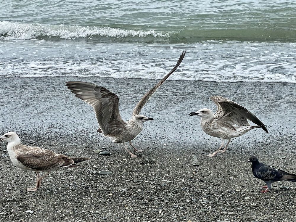 Photograph by Nadezhda