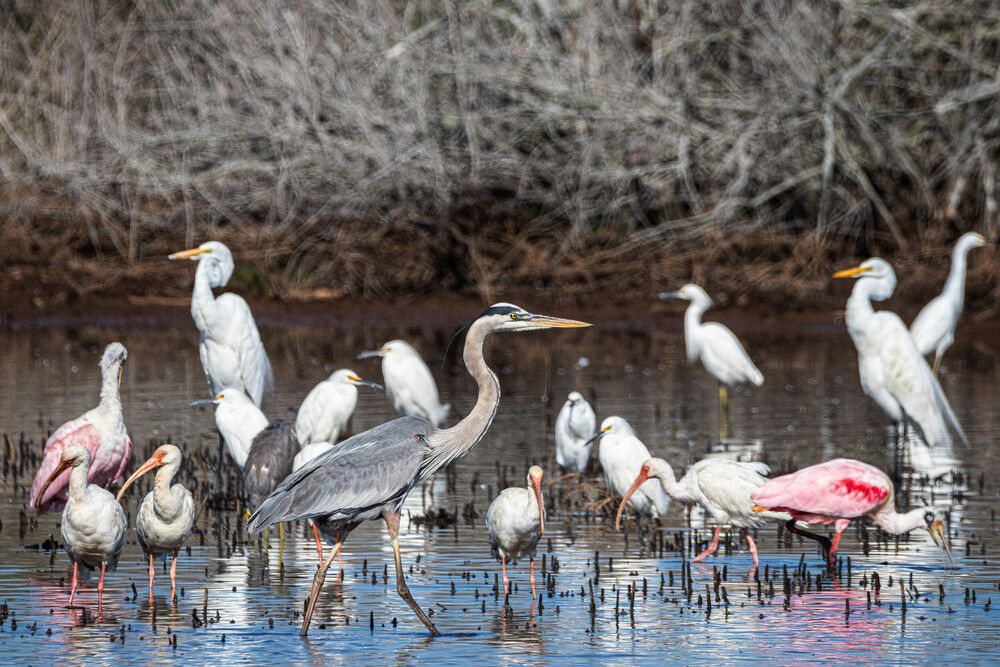 Photograph by Анатолий Костерев