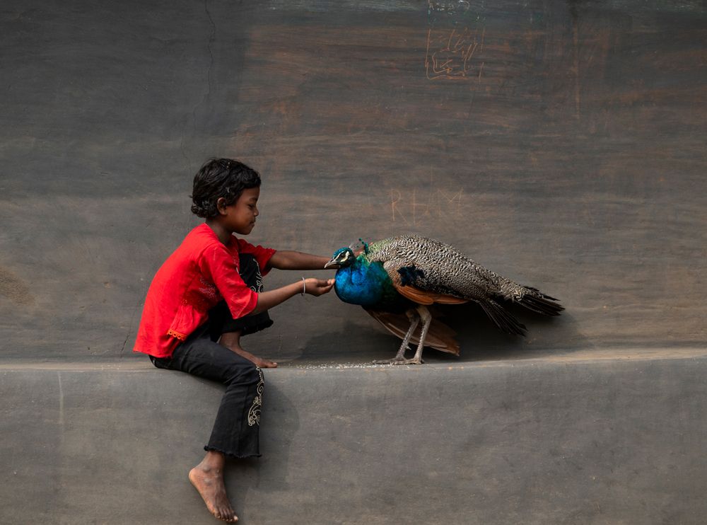 Photograph by Sharad Mansharamani