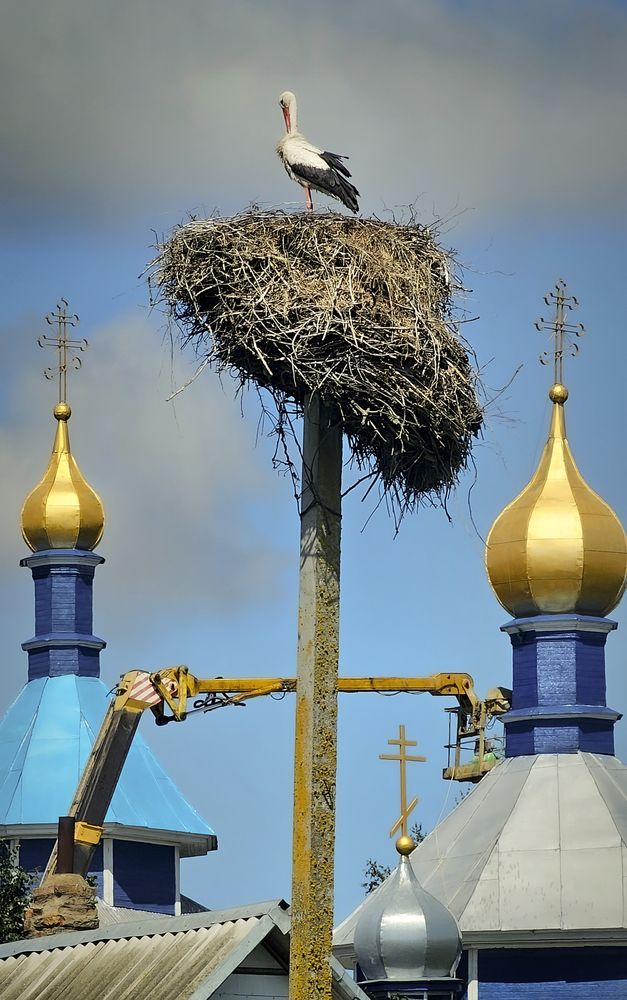 Photograph by Пирог Борис