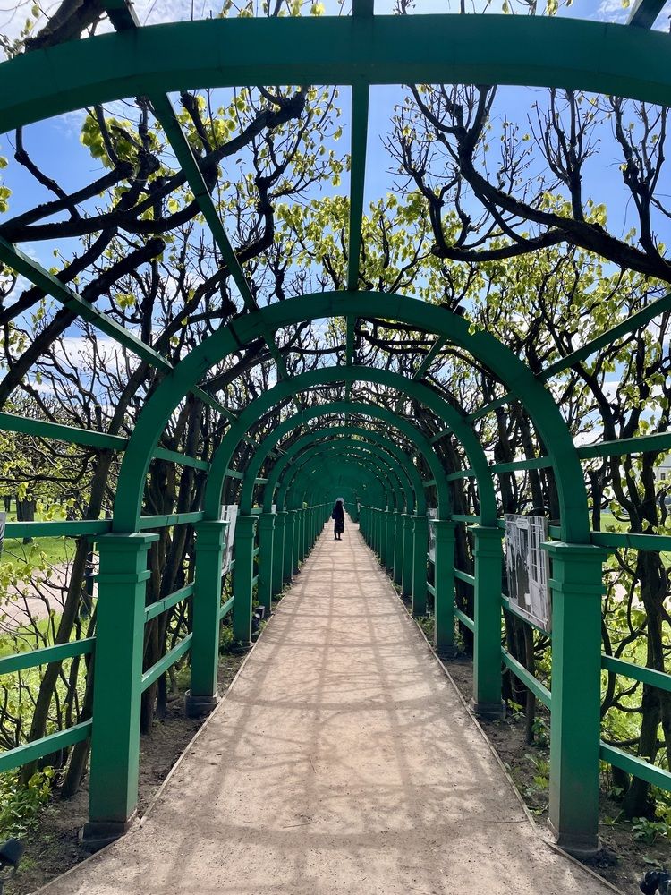 Фотография автора Nadezhda