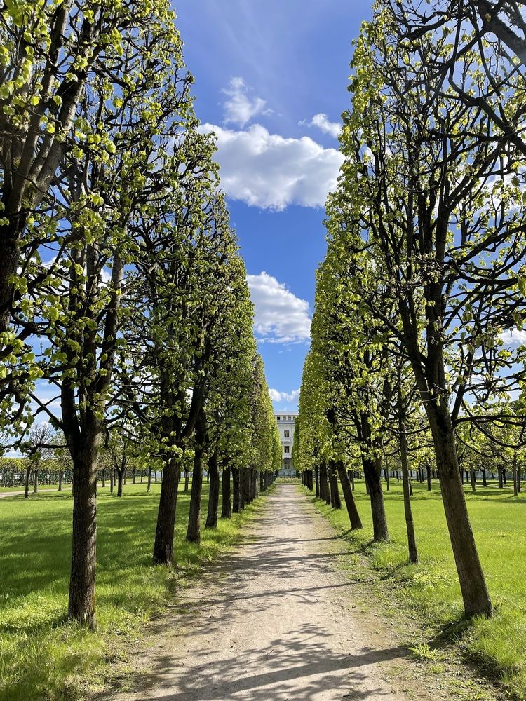 Фотография автора Nadezhda