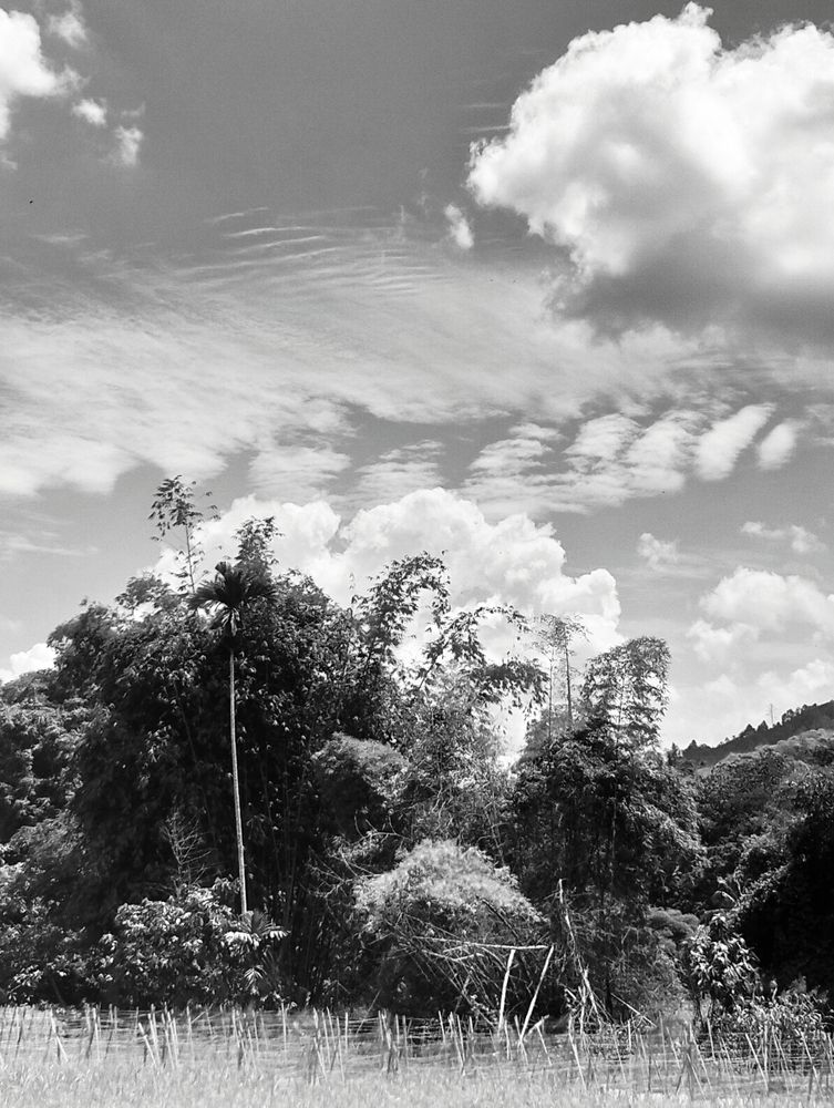 Allah Name from Great Cloud Nature in BW