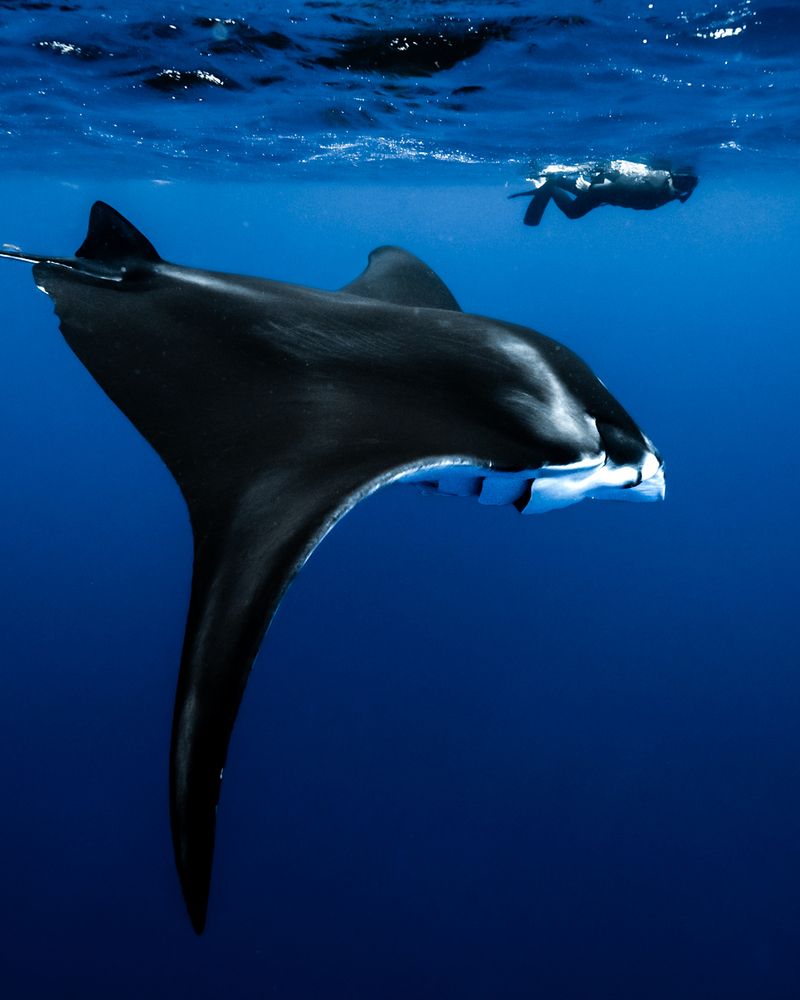 Photograph by nishijima takayuki