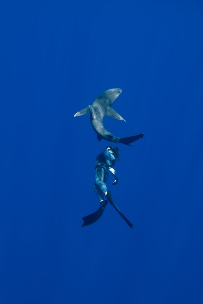 Photograph by nishijima takayuki