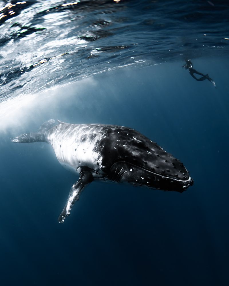 Photograph by nishijima takayuki