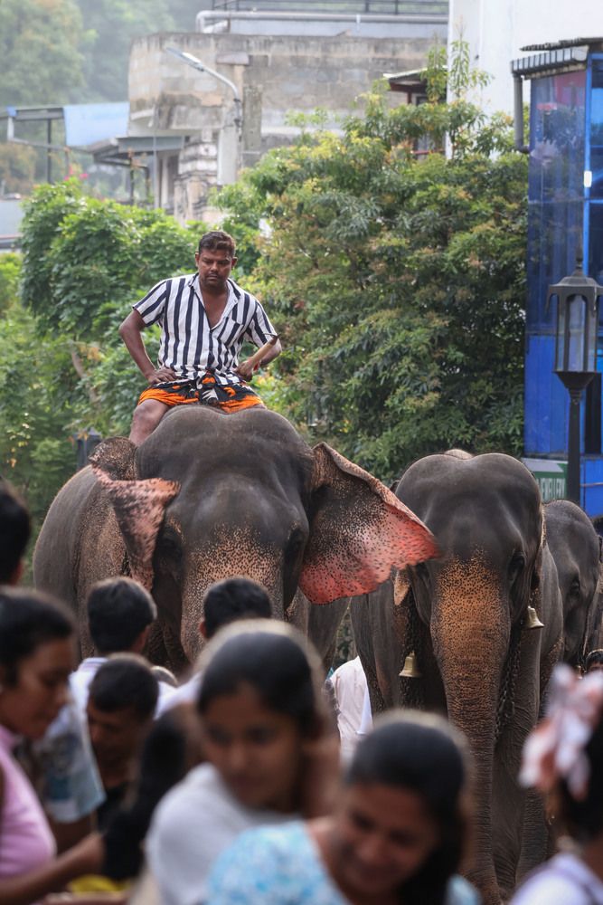 Photograph by K.G.Supun Nayanajith Samaraweera Nayanajith