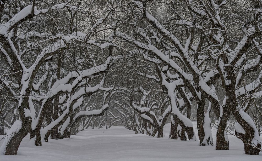 Фотография автора Сергей Басов