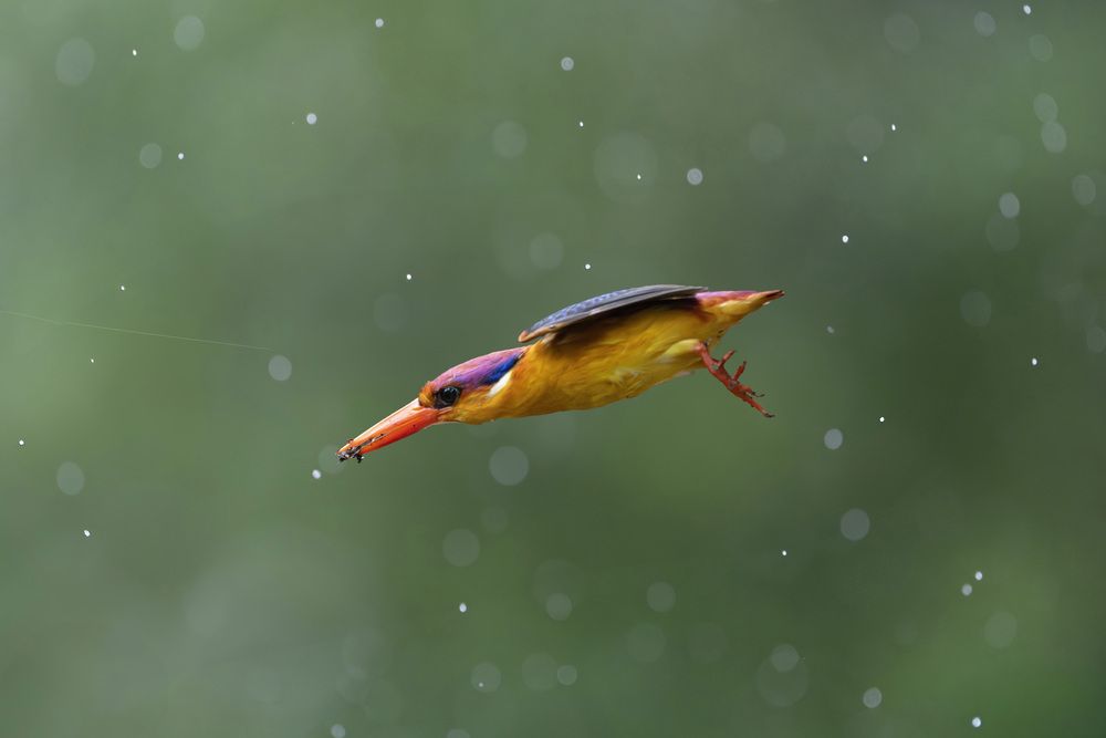 Photograph by Amit Joshi