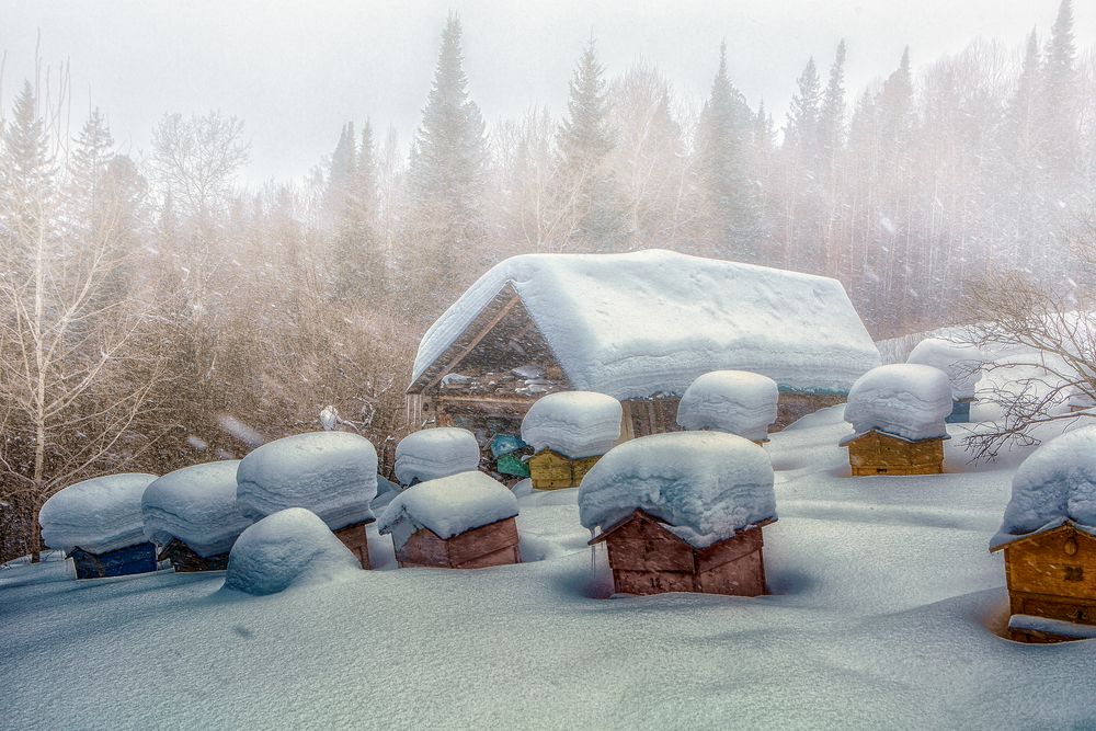 Фотография автора Виктор Холудеев