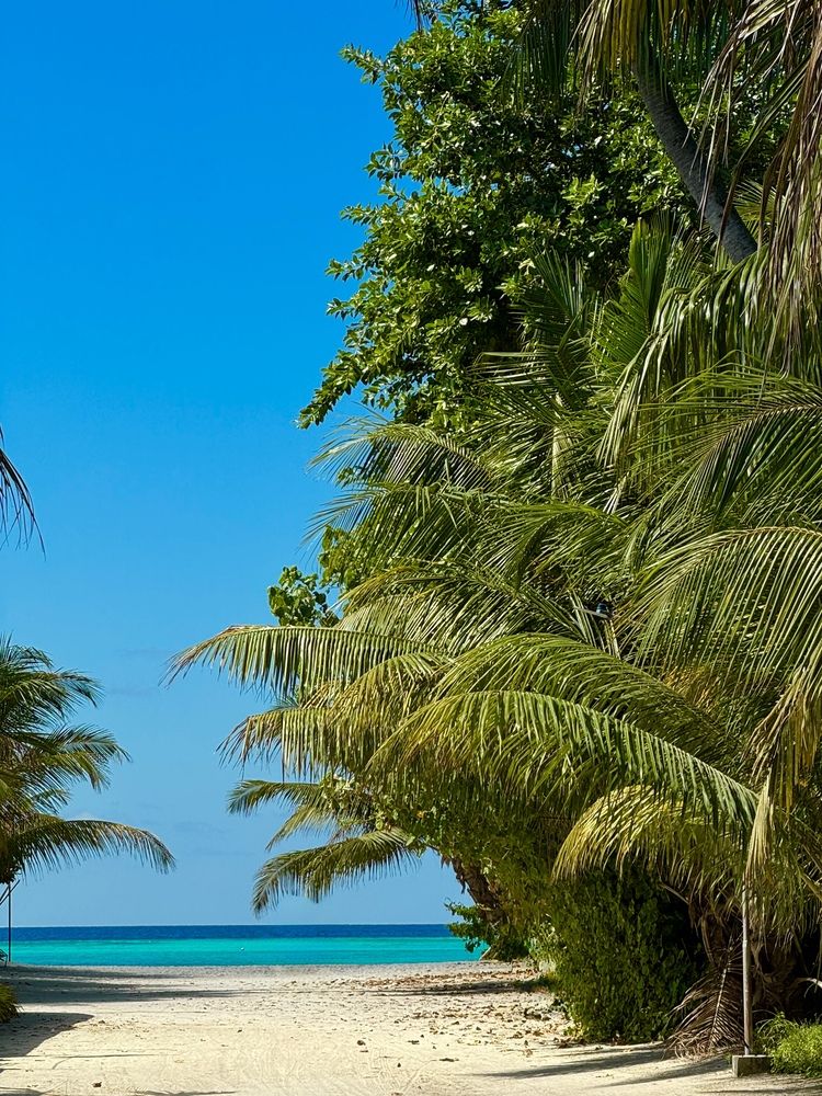 Photograph by Ксения Юртаева