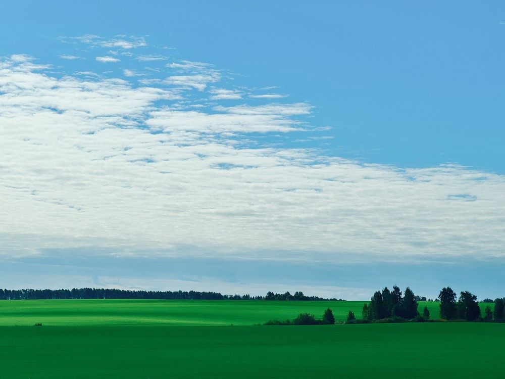 Photograph by Ксения Юртаева