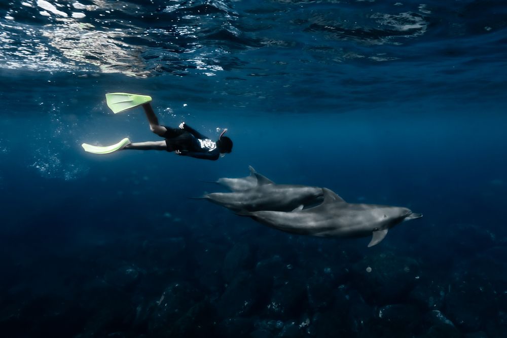 Photograph by nishijima takayuki