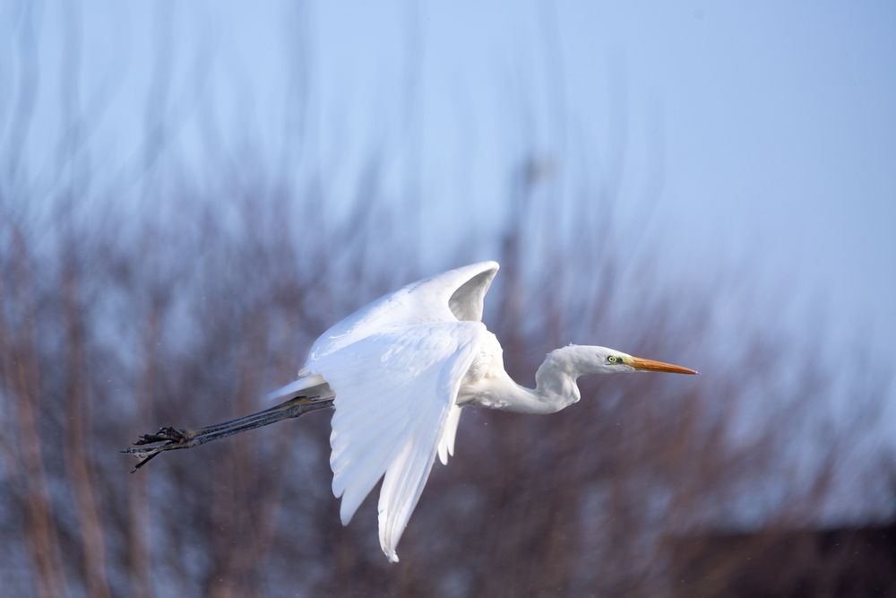 Photograph by Максим Шелякин