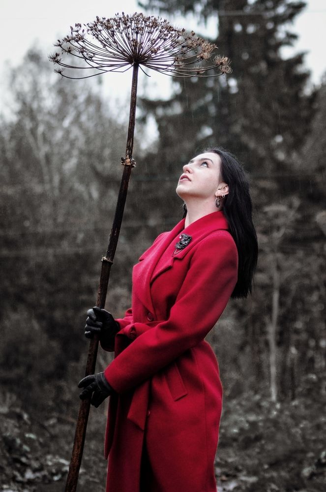 Photograph by Евгения Россоловская