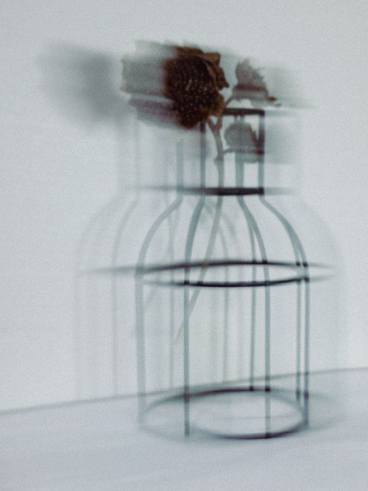 Photograph by Elena Safarova
