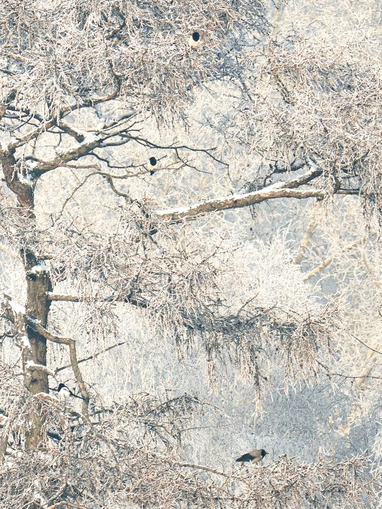 Photograph by Yuli Lerou