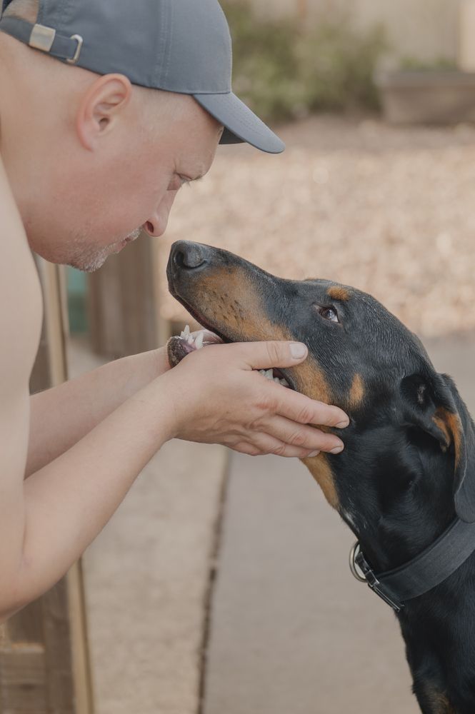 Photograph by Elena Savchuk