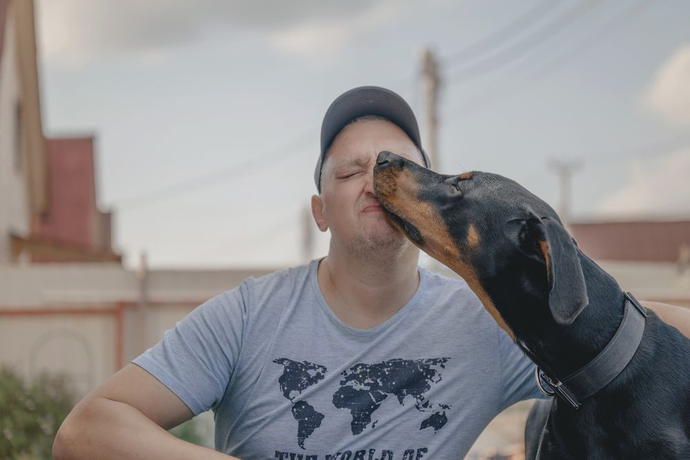 Photograph by Elena Savchuk