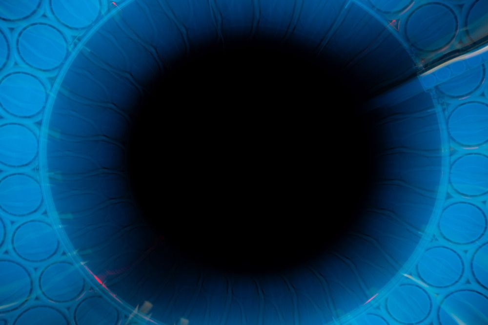 Фотография автора Amin Malekzadeh