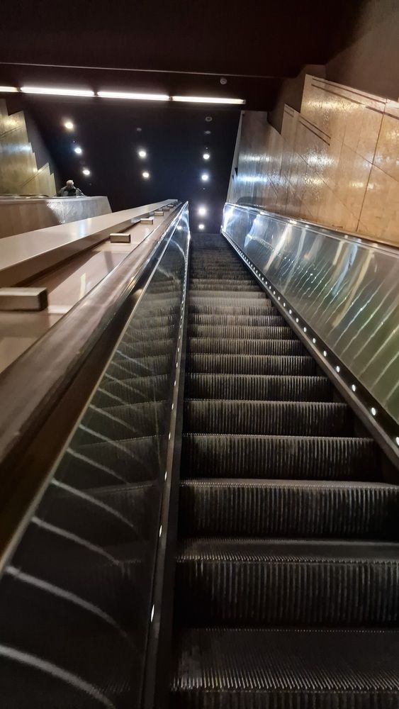 Photograph by Gemelina Opriș