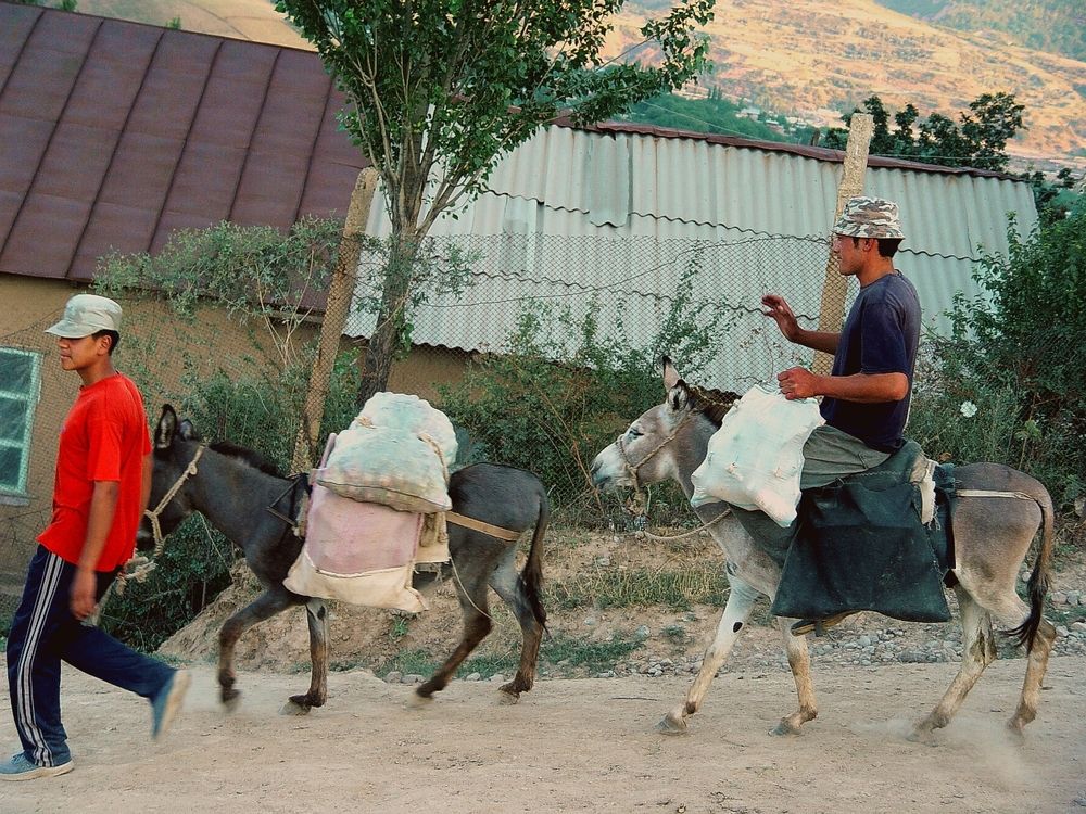 Photograph by Hvabek Kim