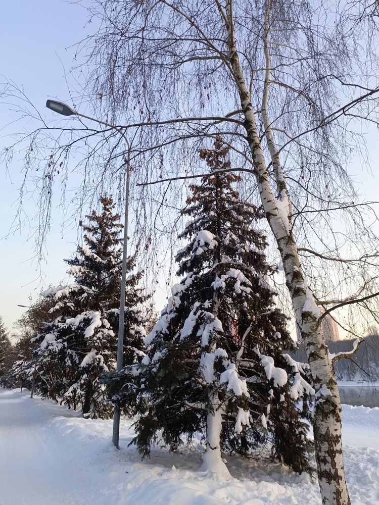 Photo #13180437