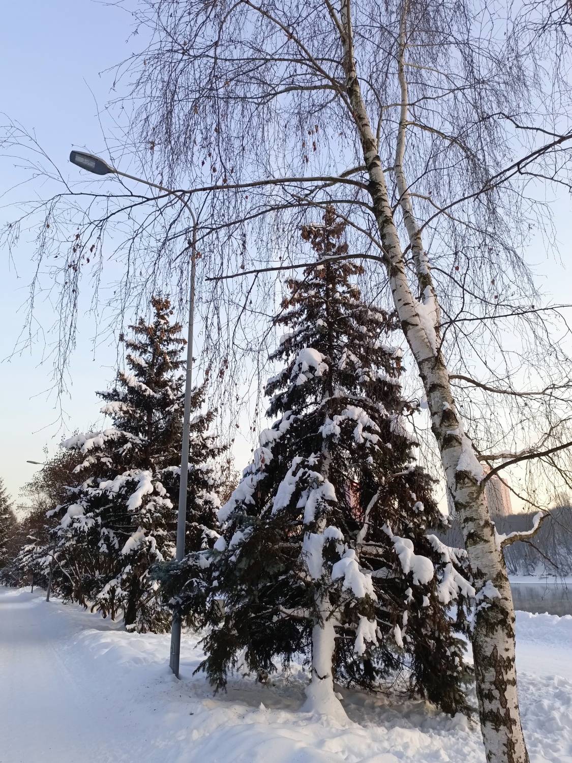 Photo #13180437
