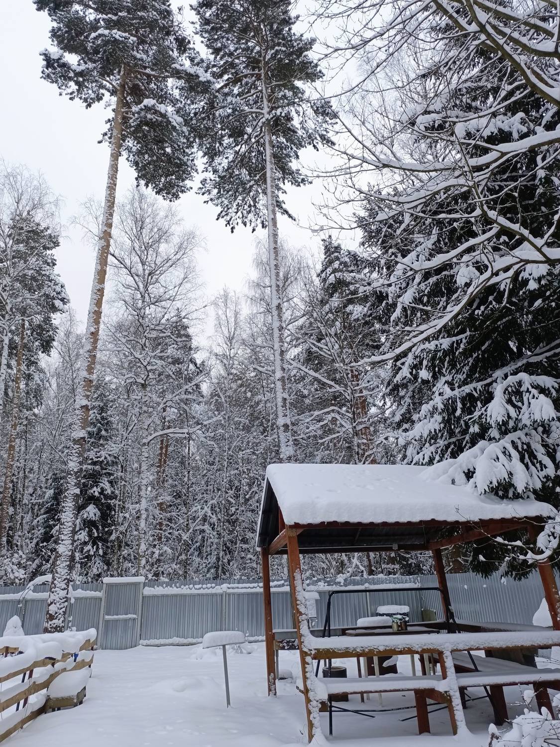 Photo #13180438