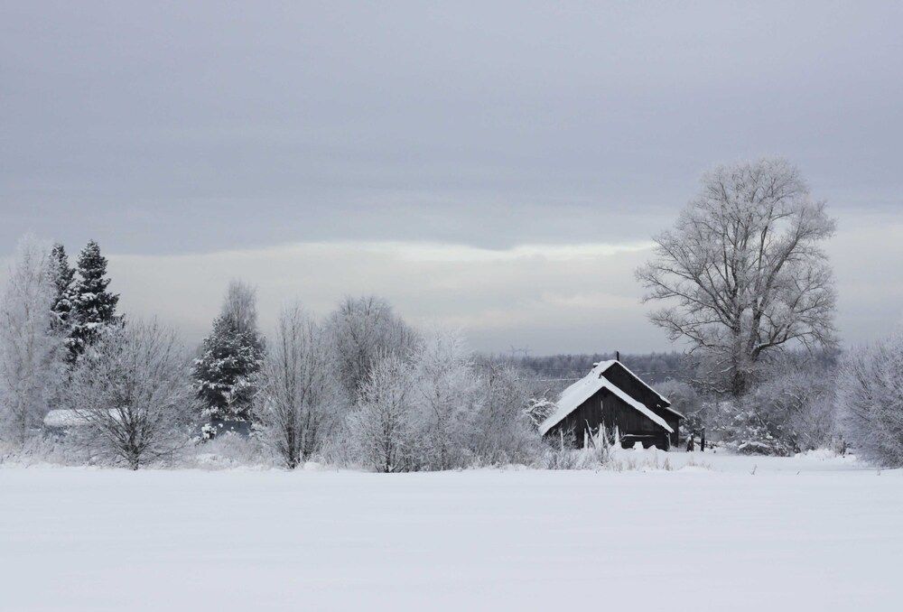 Photograph by Ольга