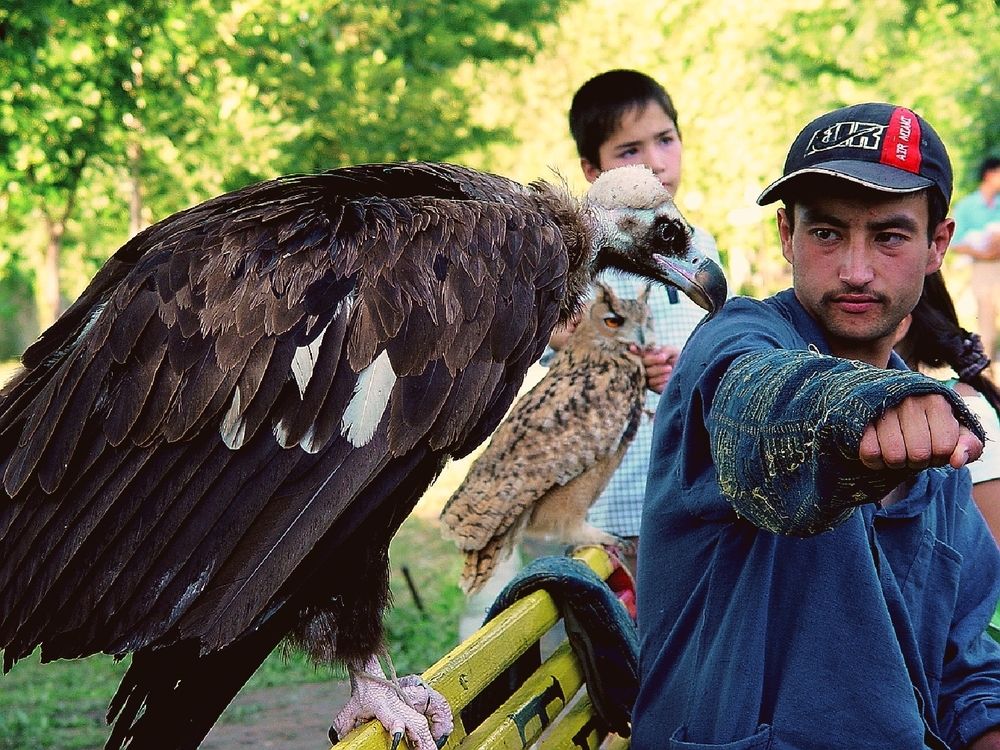 Photograph by Hvabek Kim