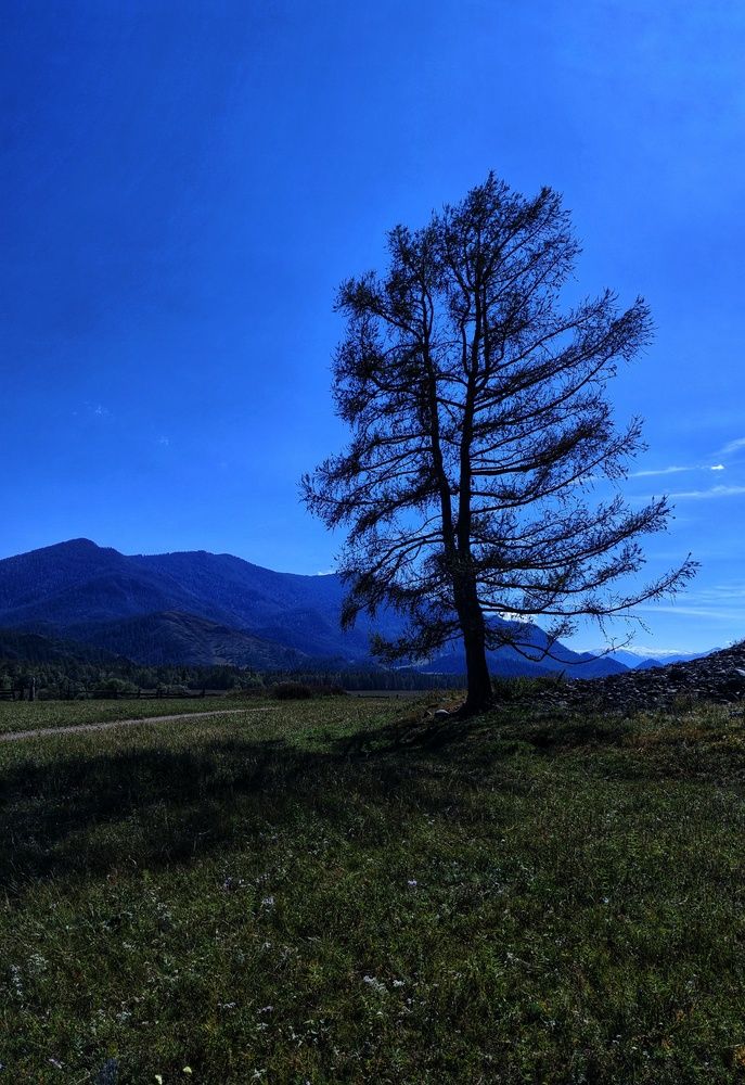Photograph by Юлия