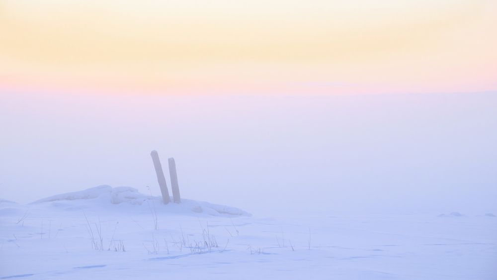 Photograph by Вячеслав Митрофанов