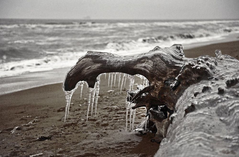 Photograph by Пирог Борис