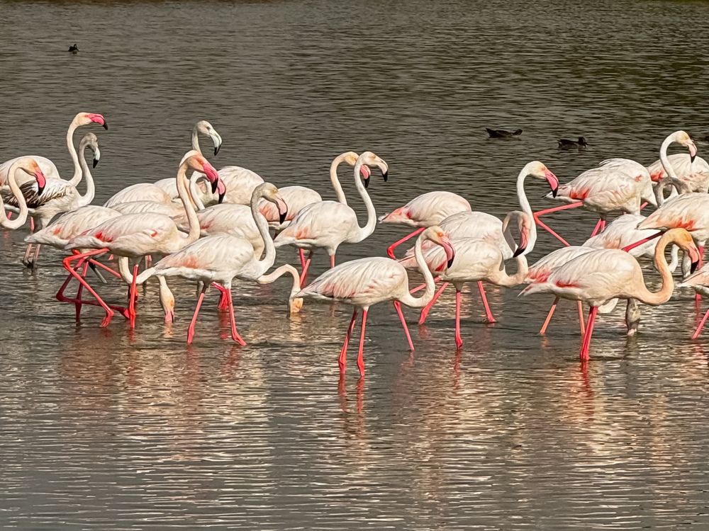 Фотография автора Ol`ga Lukyanova