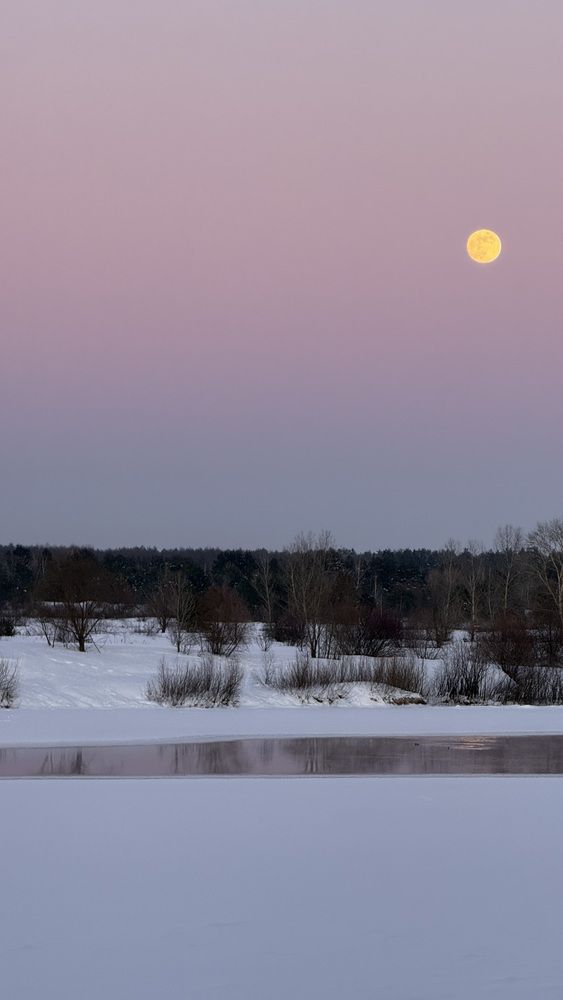 Фотография автора Юлия Денисенко