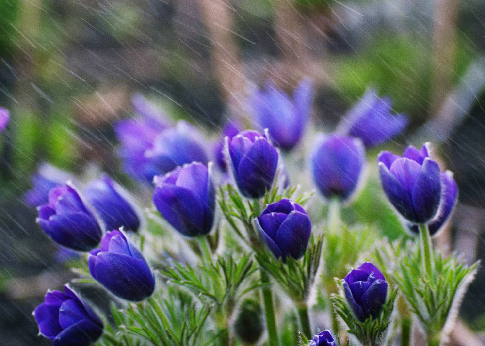 Photograph by Николай Захаров